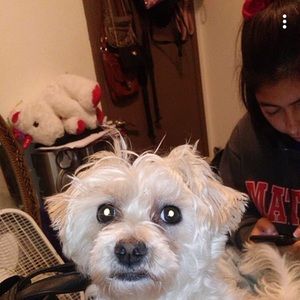 Meet your Posher, Celeste